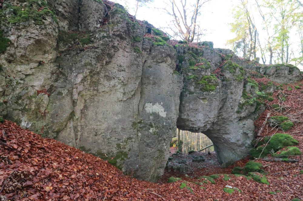 Bild Felsbilder aus dem nördlichen Frankenjura