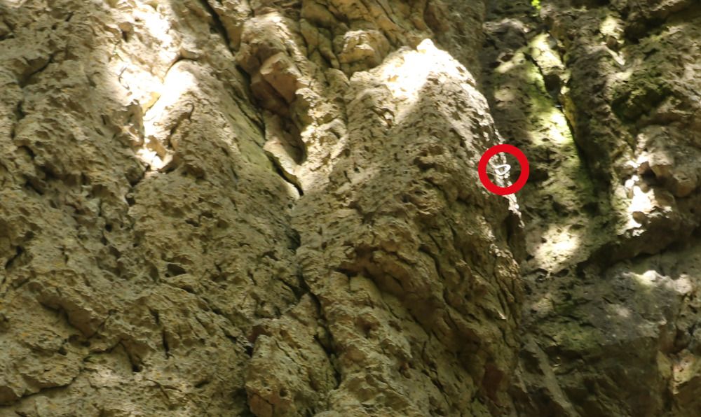 Der erste Haken (rot markiert) in einem Pfeiler, der bereits um einige Zentimeter vom Fels absteht.