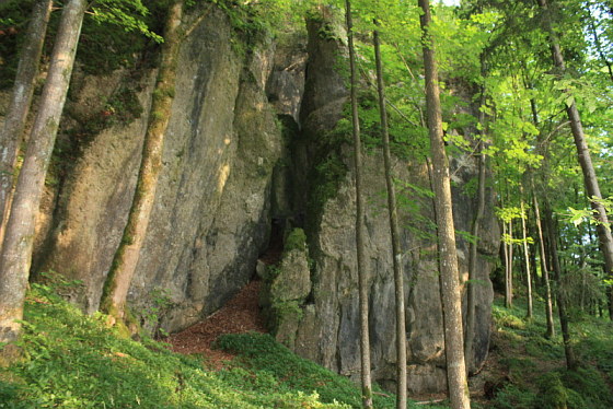 Die steinerne Welt im unteren Ailsbachtal