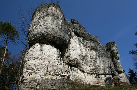 Die Mittelbergwand oberhalb von Hirschbach