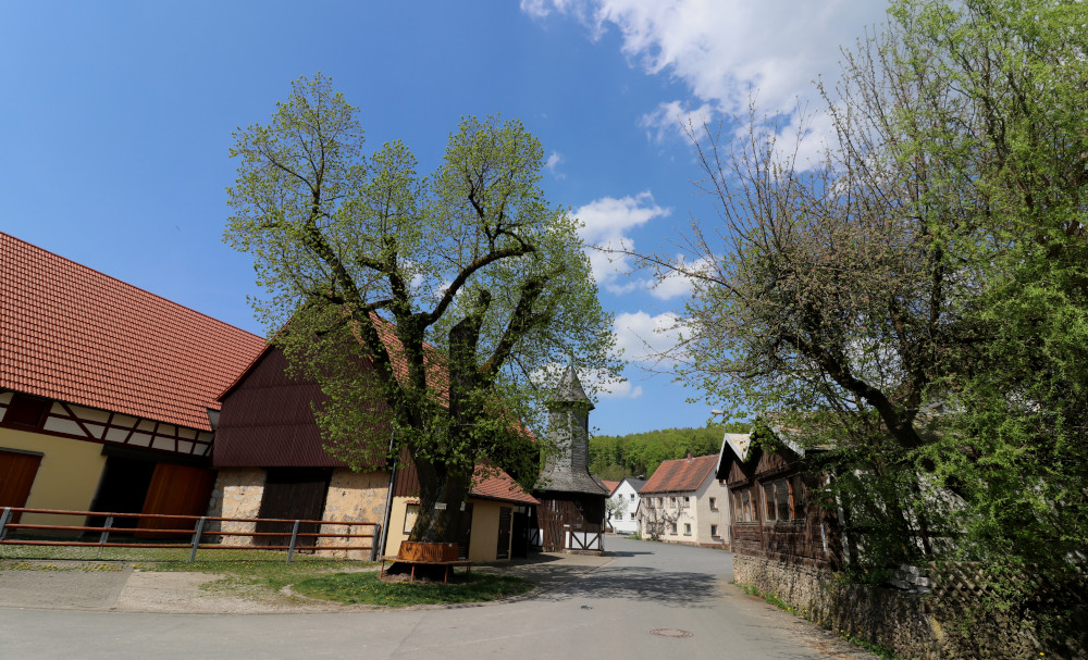 Hier parken: Die Dorflinde von Birkenreuth