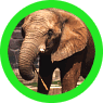 Tierparks