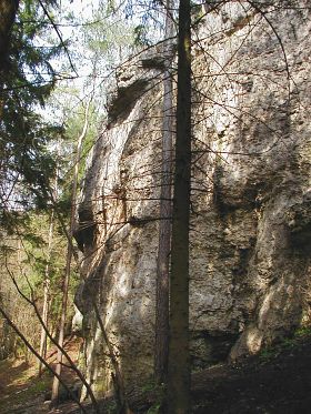 Ammerthaler Wand Rote Wand 02 Rechter Teil Fels Frankenjura Com