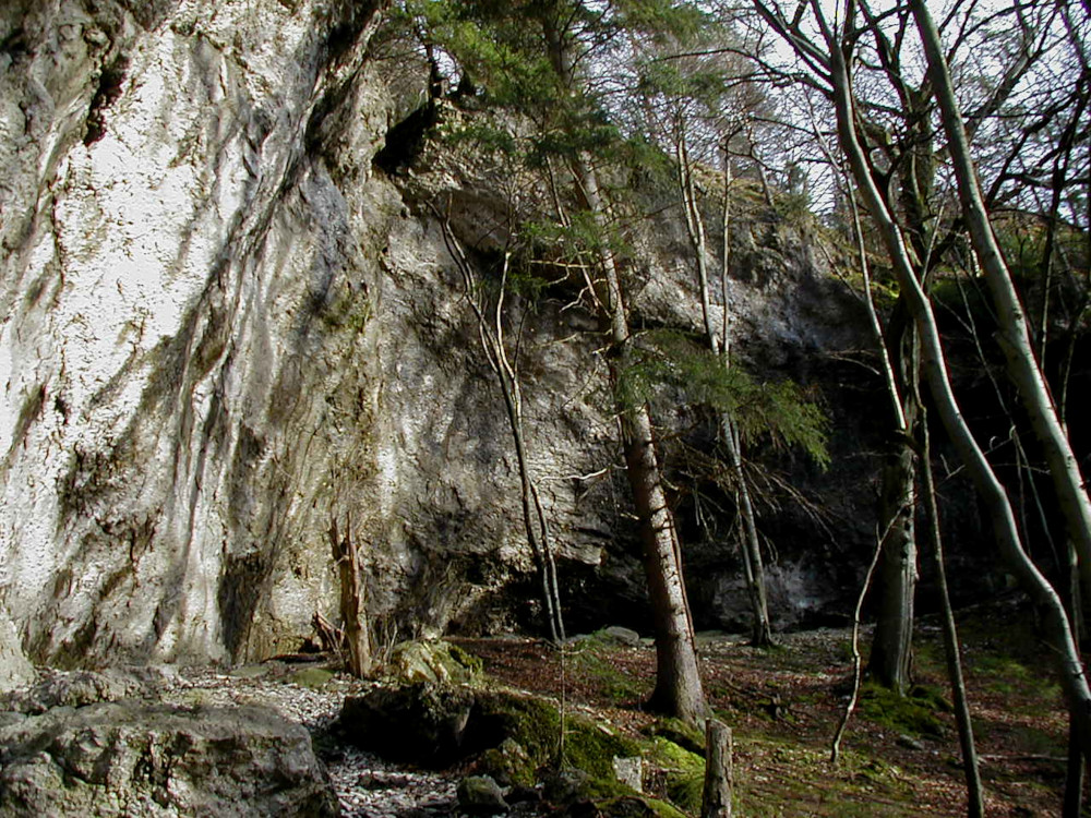 Bild des Felsens