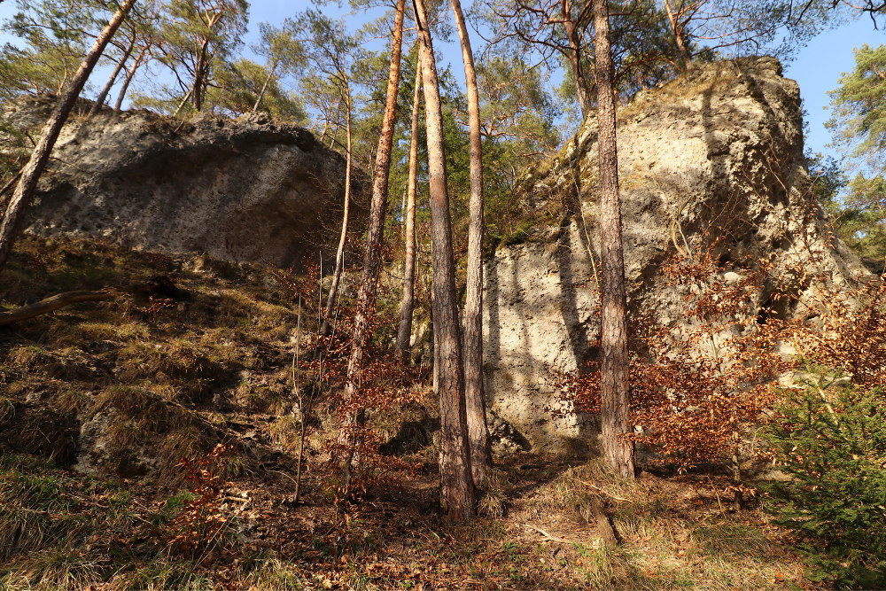 Bild des Felsens