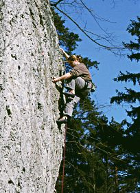 Bild des Felsens