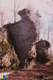 Bild des Felsens