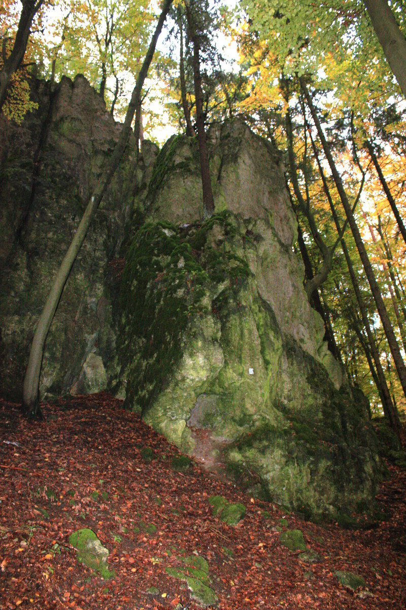 Bild des Felsens