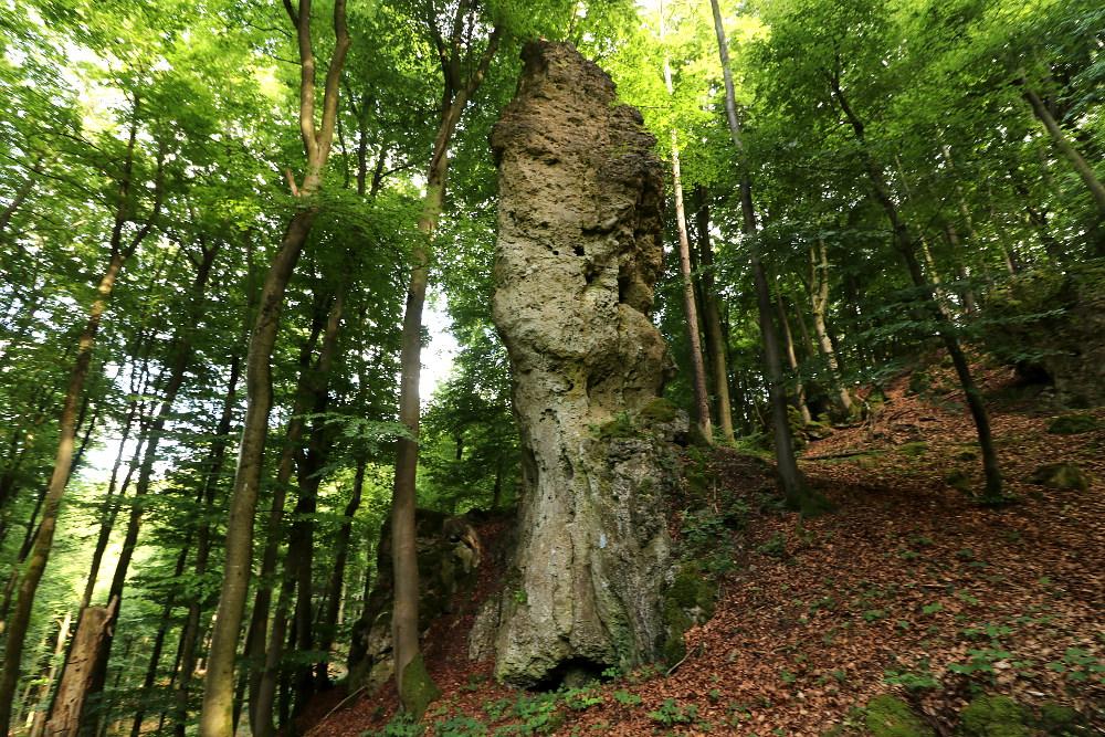 Bild Möchser Turm