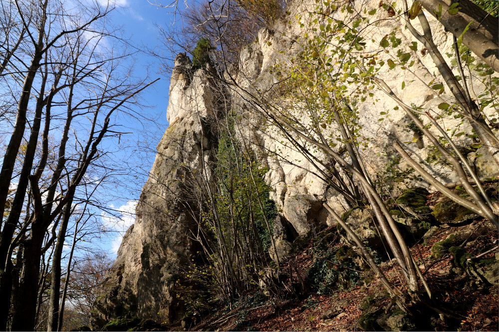 Bild des Felsens