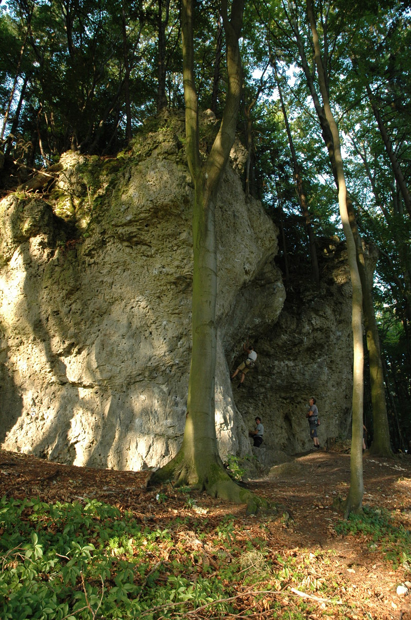 Bild des Felsens