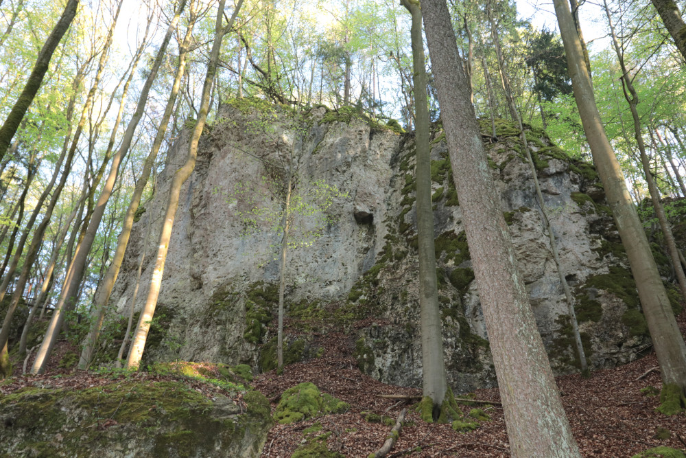 Bild des Felsens
