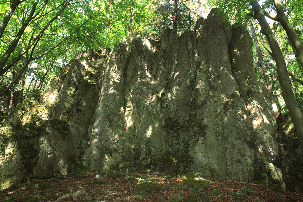 Bild des Felsens