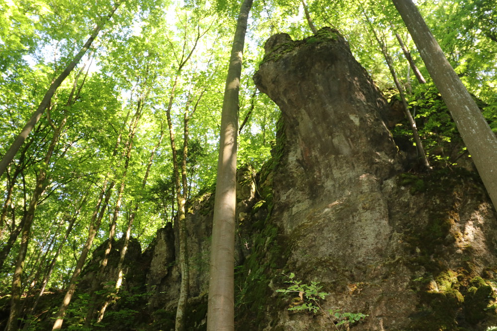 Bild des Felsens