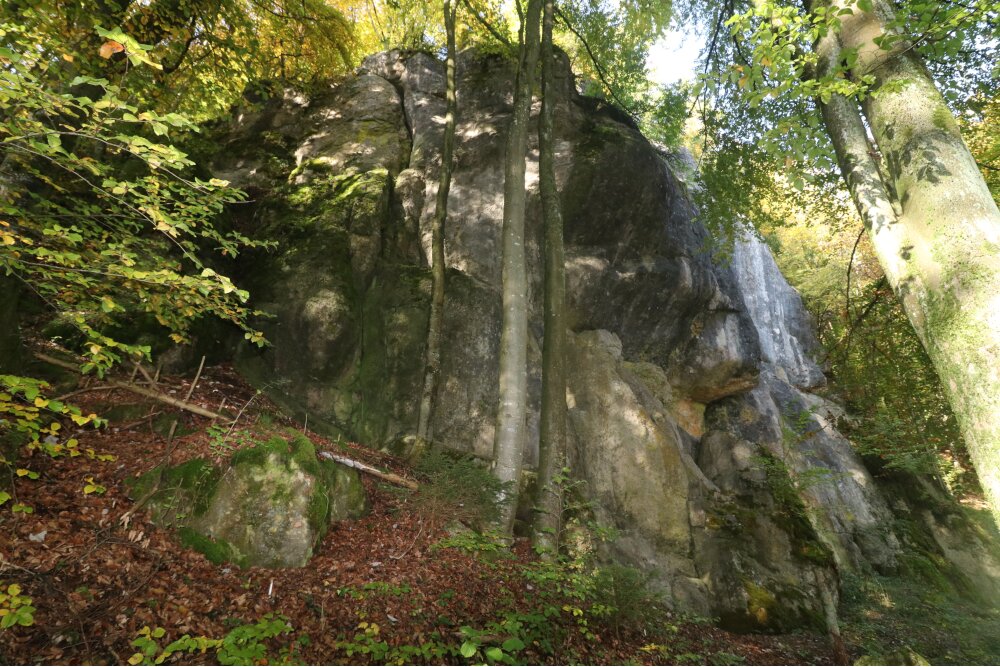 Bild des Felsens