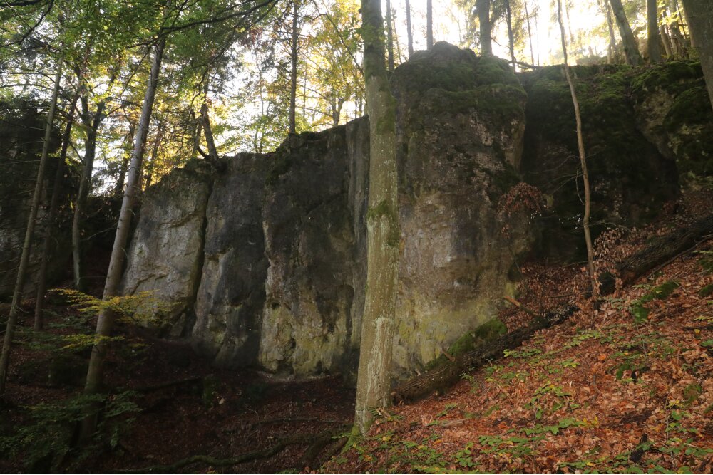 Bild des Felsens