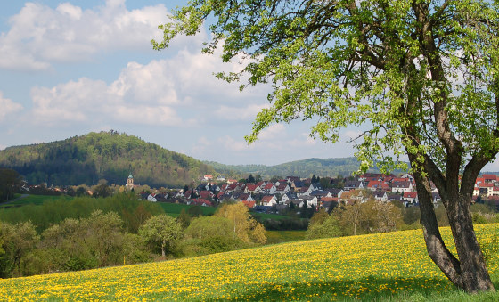 Bild Stadt Pegnitz