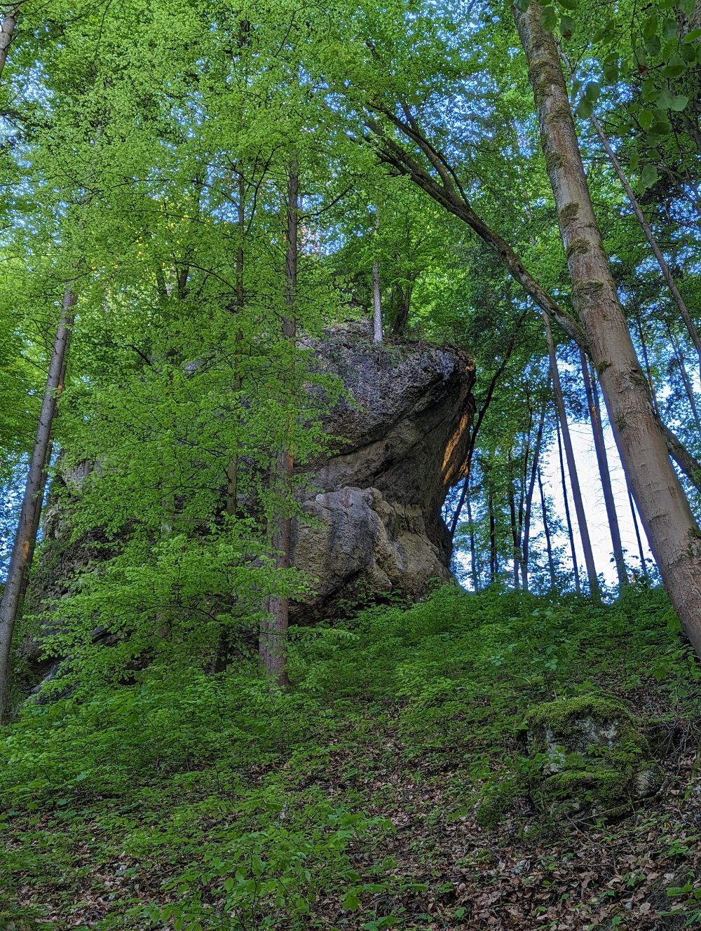Bild des Felsens