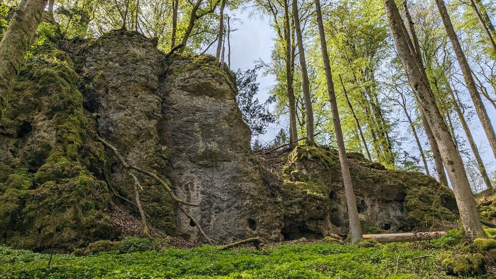 Bild des Felsens