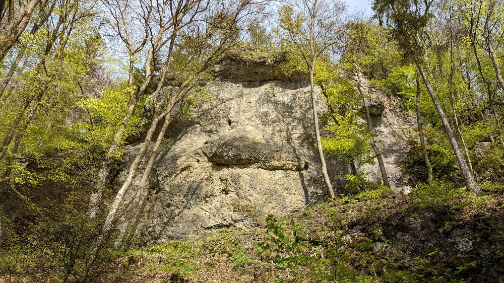 Bild des Felsens