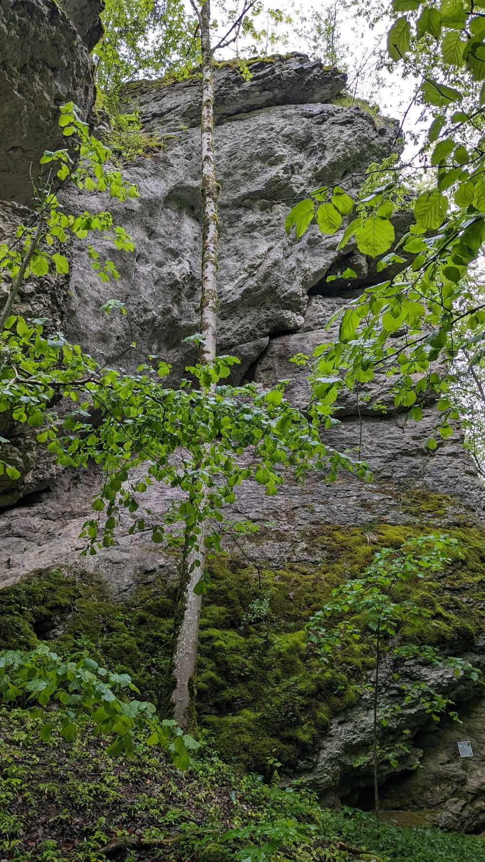 Bild des Felsens