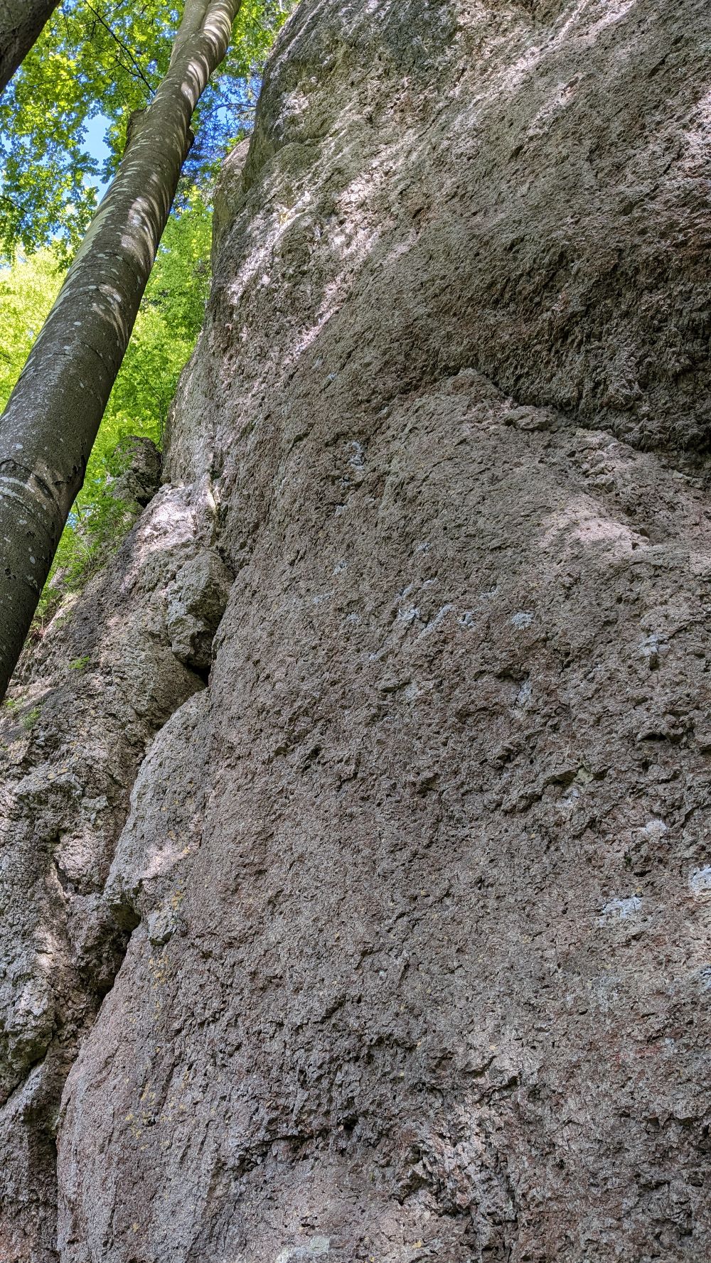 Bild des Felsens
