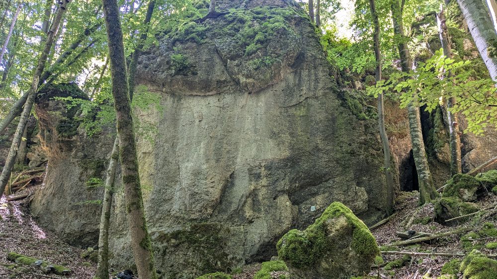 Bild des Felsens