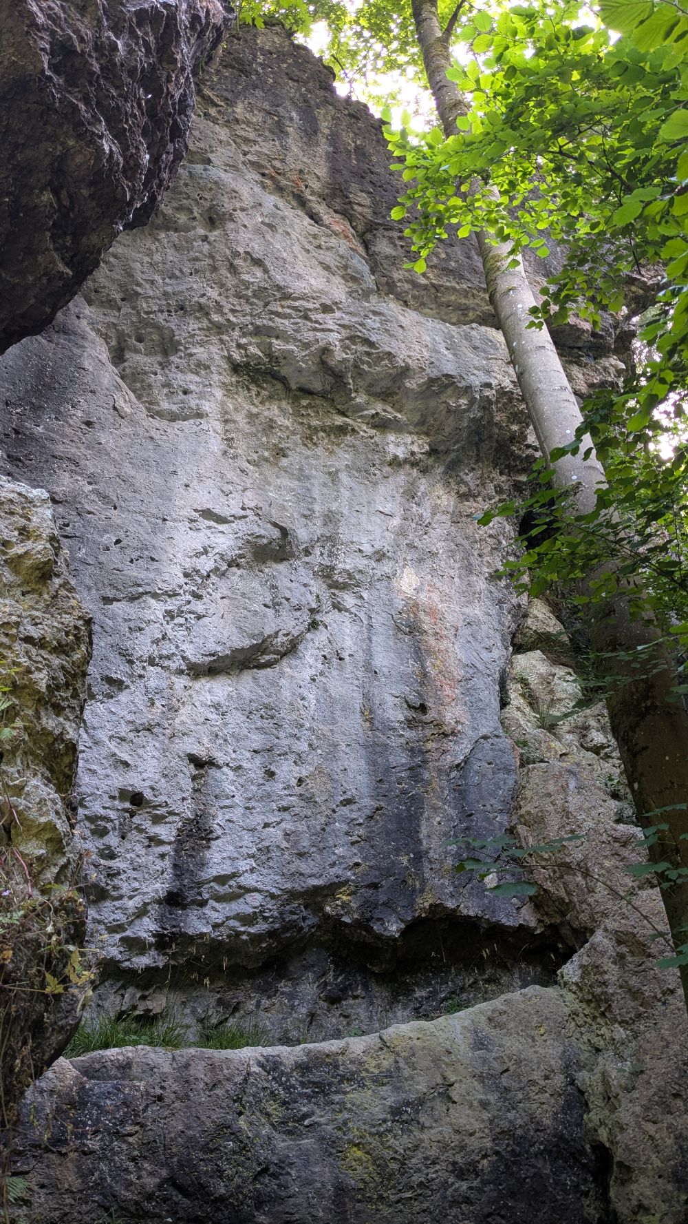 Bild des Felsens