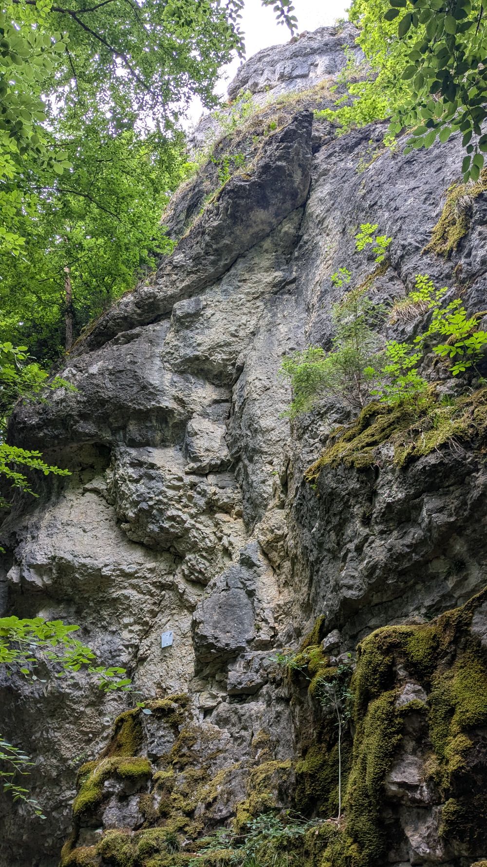 Spiegelfels | Mostvieler Wand