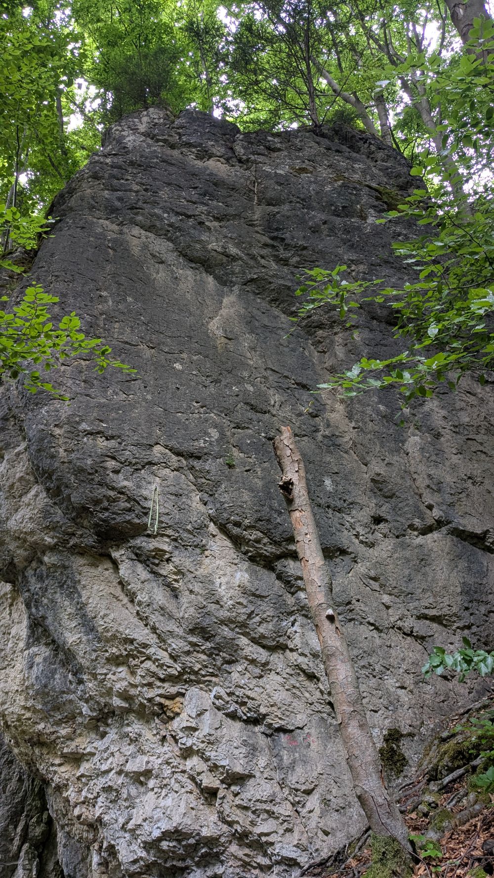Bild des Felsens