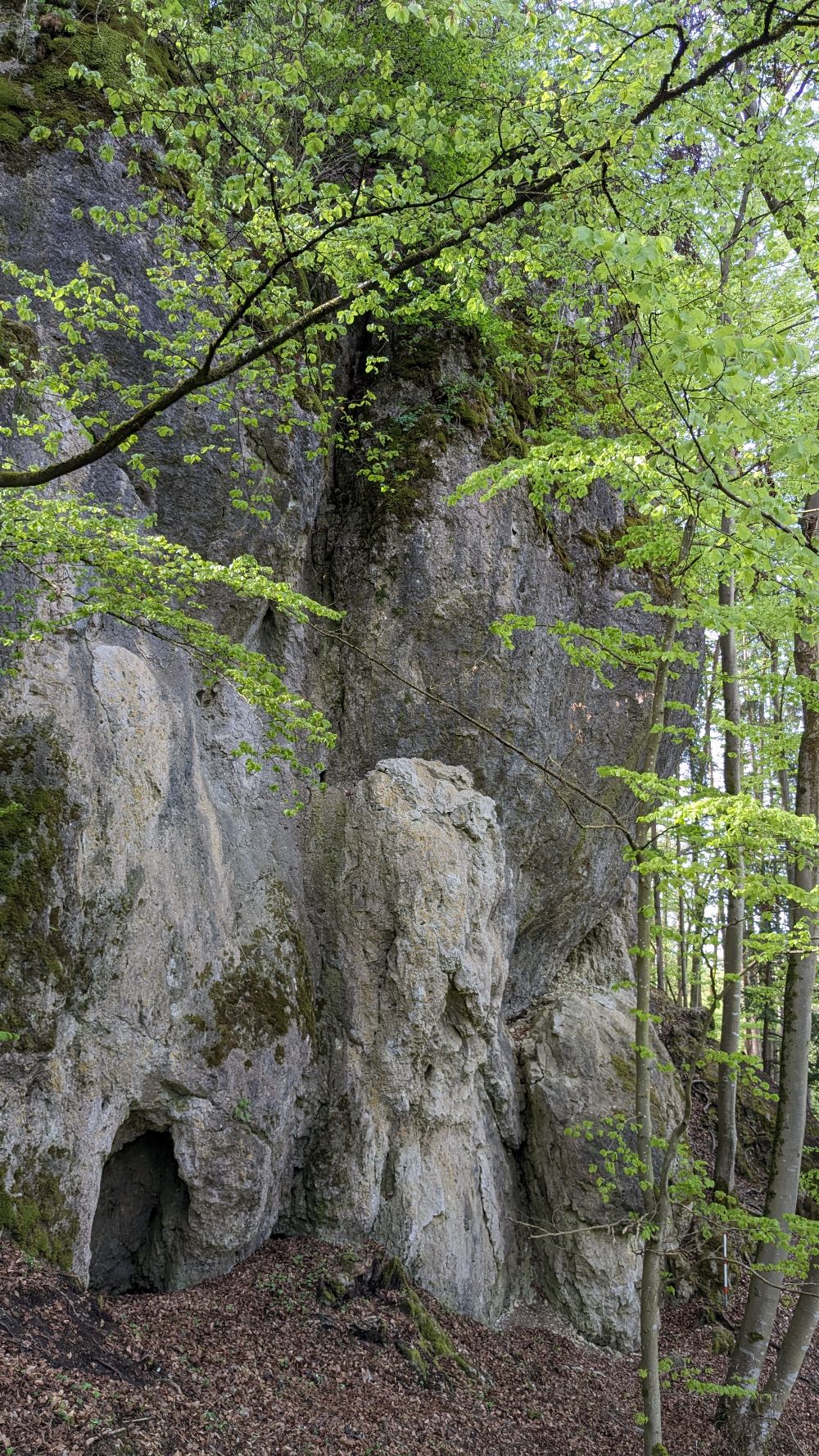 Bild des Felsens
