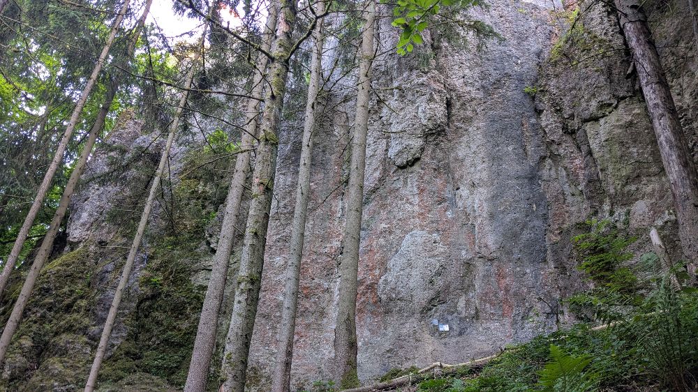 Bild Haidhofer Schlossbergwand
