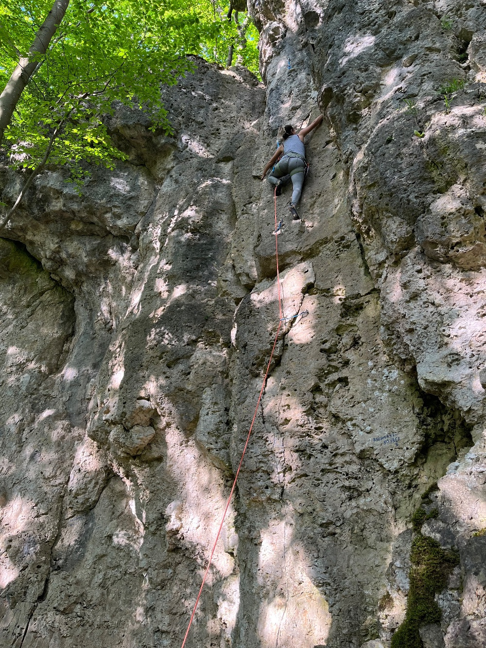 Bild des Felsens