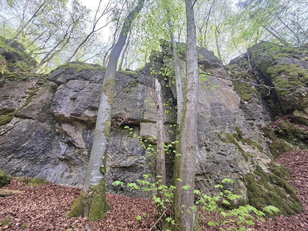 Bild des Felsens