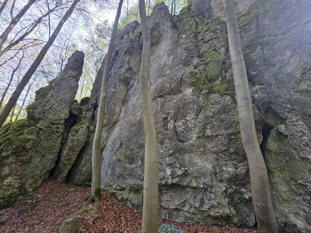 Bild des Felsens