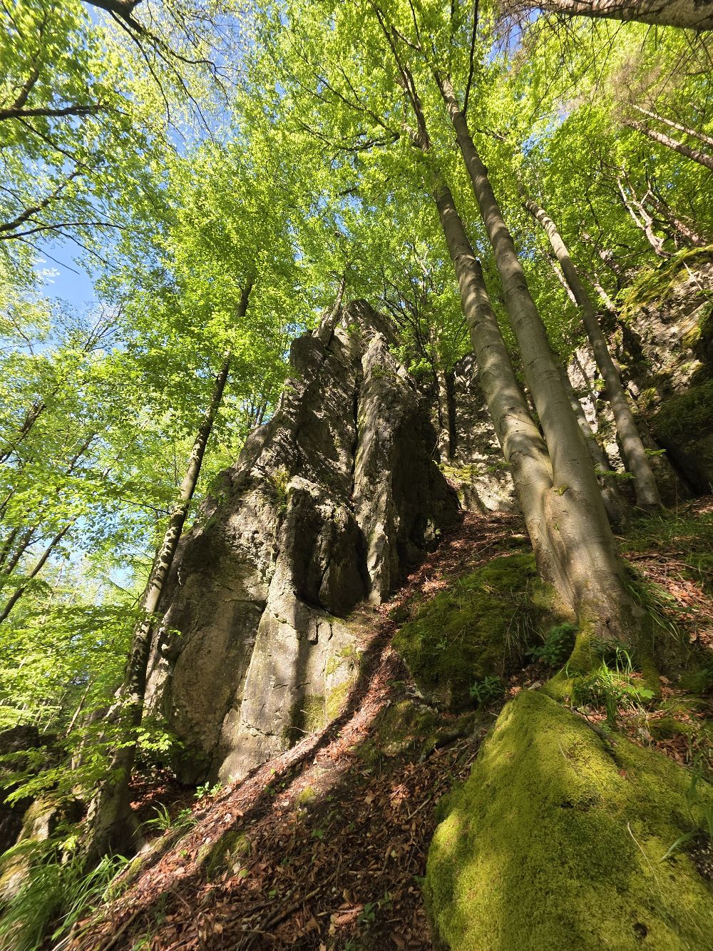 Schmidbergwand - rechter Wandteil