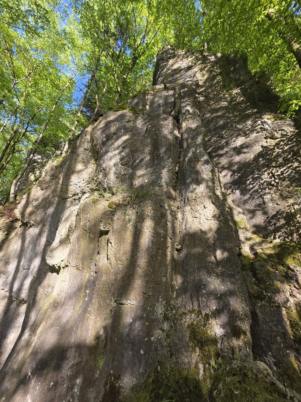Bild des Felsens