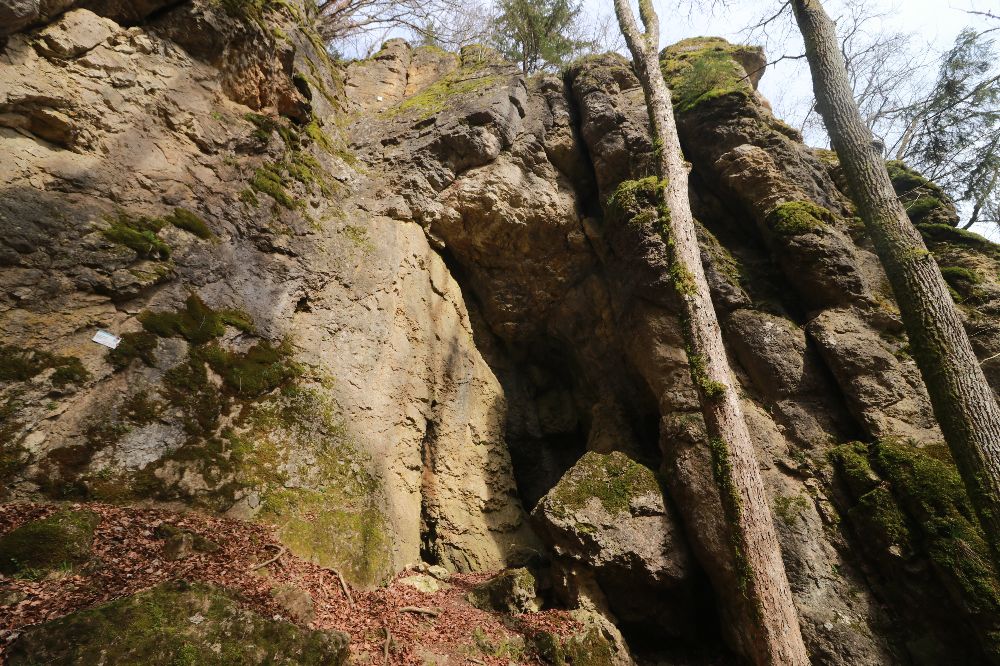 Bild des Felsens
