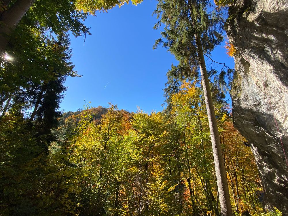 Bild des Felsens