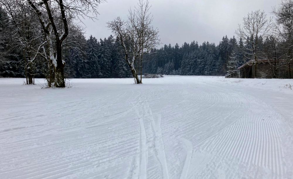 Aktuelles Bild vom 08.02.2021: Ausgewählte Loipen in Waller sind bereits wieder auf Skating gespurt! (Bild: Heiner Stocker)