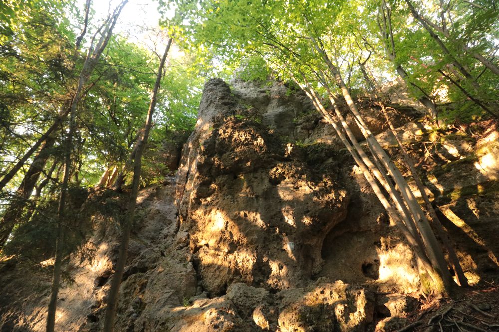 Bild des Felsens