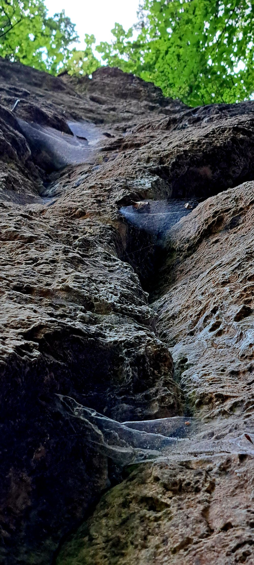 Bild des Felsens
