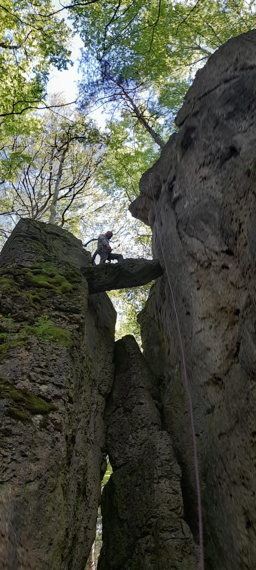 Bild des Felsens