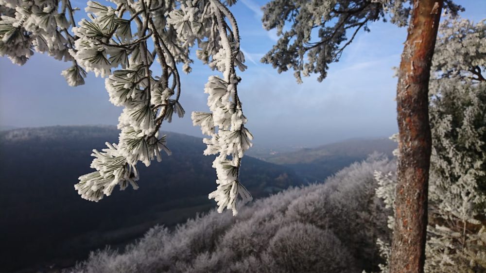 Frostiger Vormittag am Röthelfels (Bild: Julian Söhnlein)