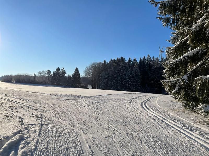 Aktuelle Bedingungen am Morgen des 12.02.2021 auf der Loipe in Schupf (Bild: Heiner Stocker)