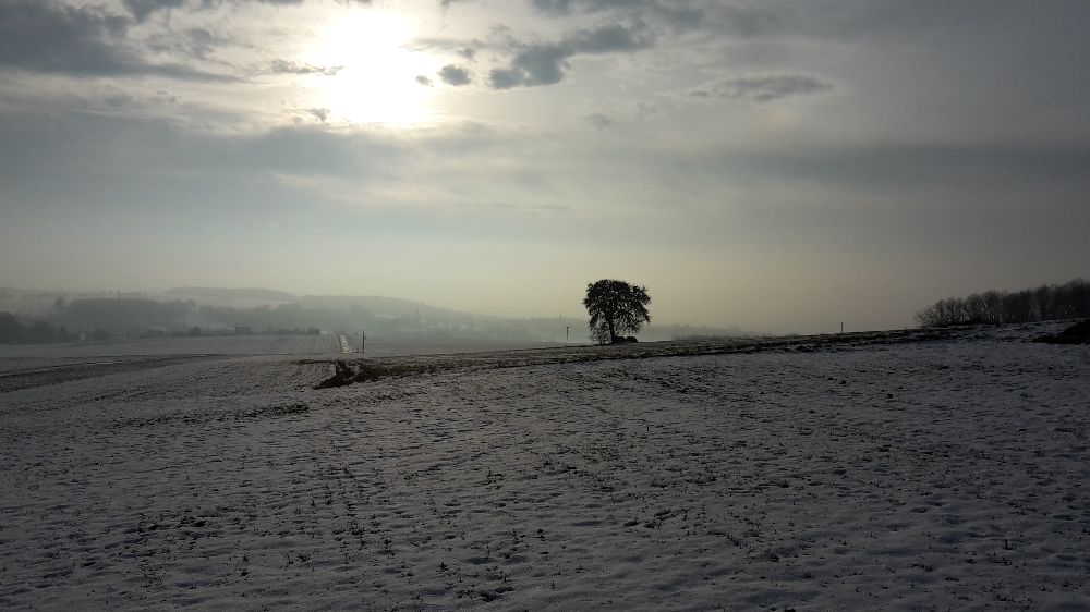 Winterabschied im Frankenjura (Bild: Mona Wagner)