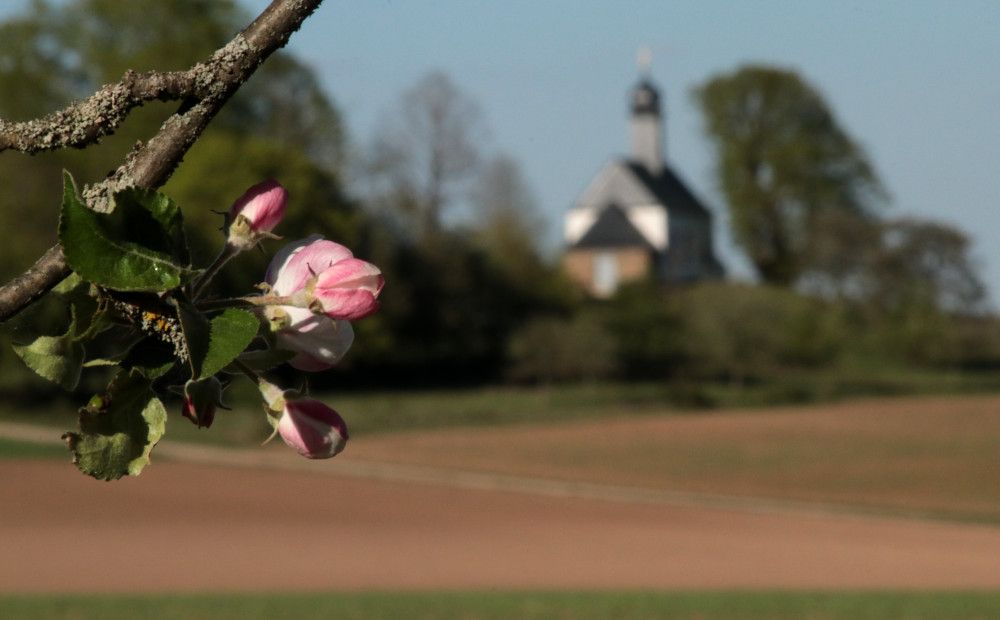 Beginn der Obstblüte im Frankenjura, hier am Rande des Kleinziegenfelder Tals