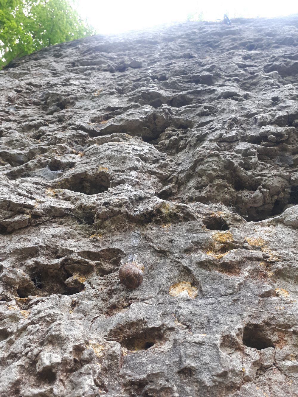 Bild des Felsens