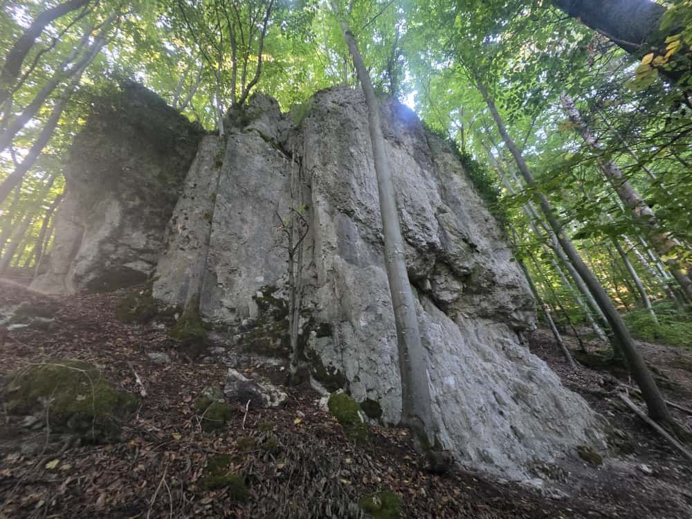 Bild des Felsens