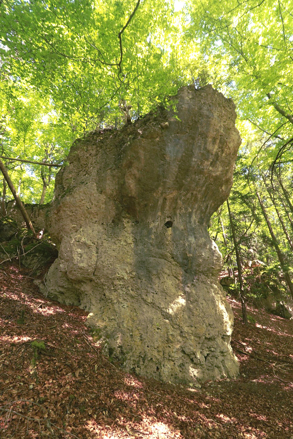 Bild des Felsens